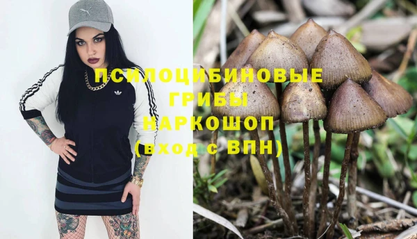 молекула духа Майский
