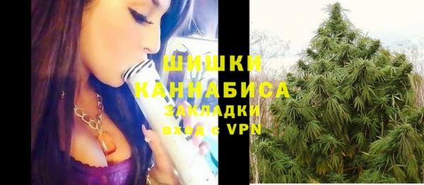 молекула духа Майский