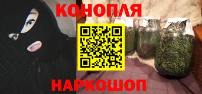 сатива Камышлов