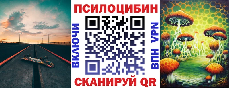 мега ссылка  Чайковский  Галлюциногенные грибы Psilocybe 