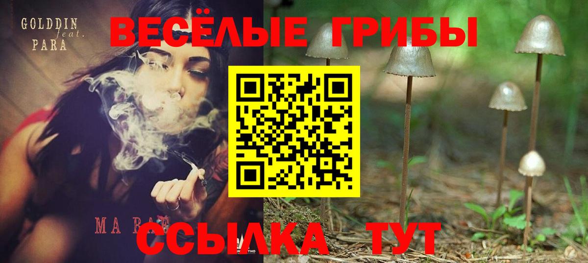 Галлюциногенные грибы Psilocybine cubensis Чайковский