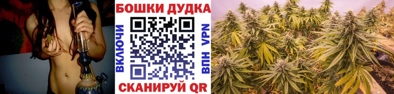 МАРИХУАНА сатива Чайковский